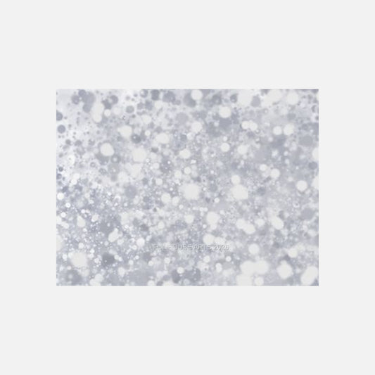 Blurry Spots — Alice Lipping, on gray background