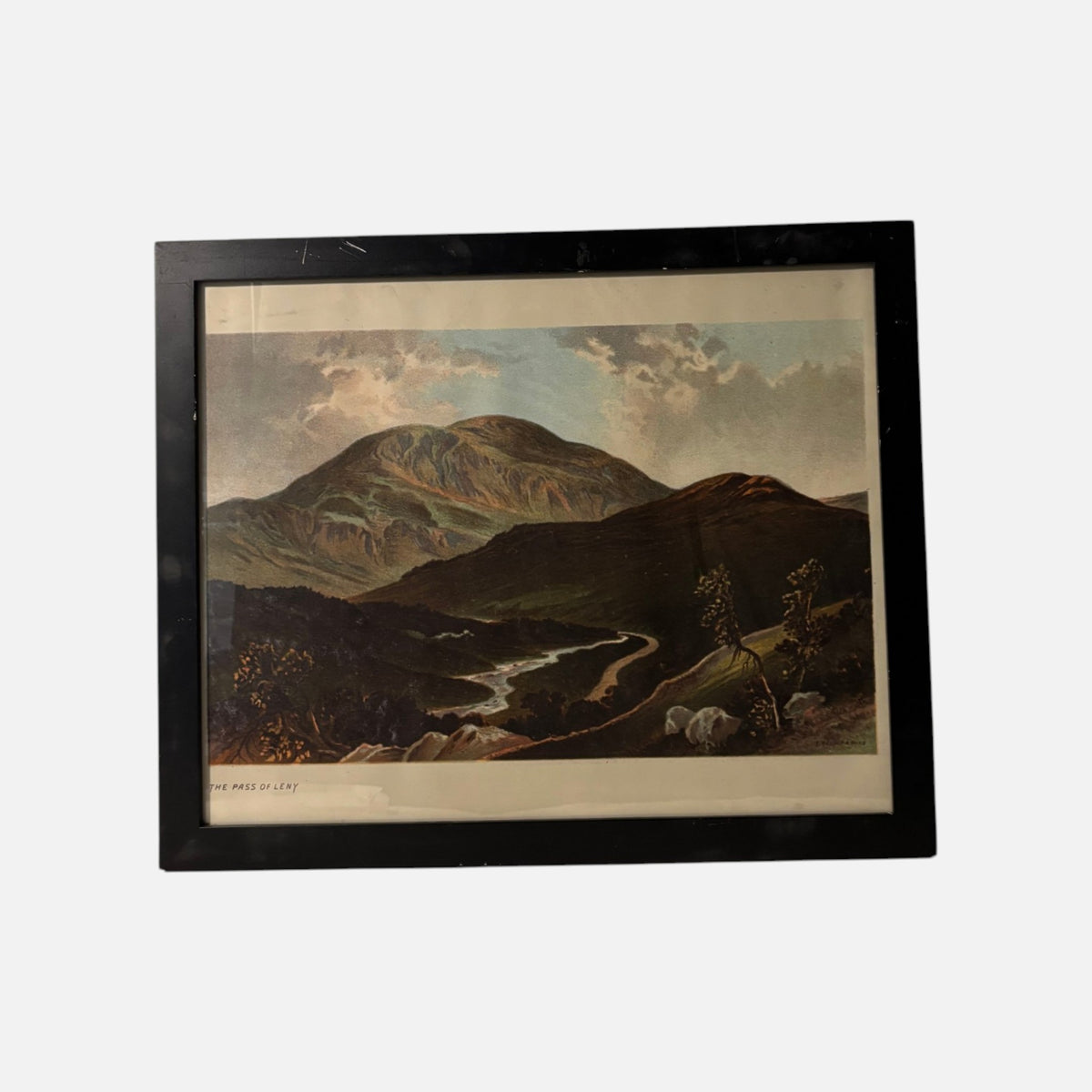 FH1264 original photo (gray composite unavailable)