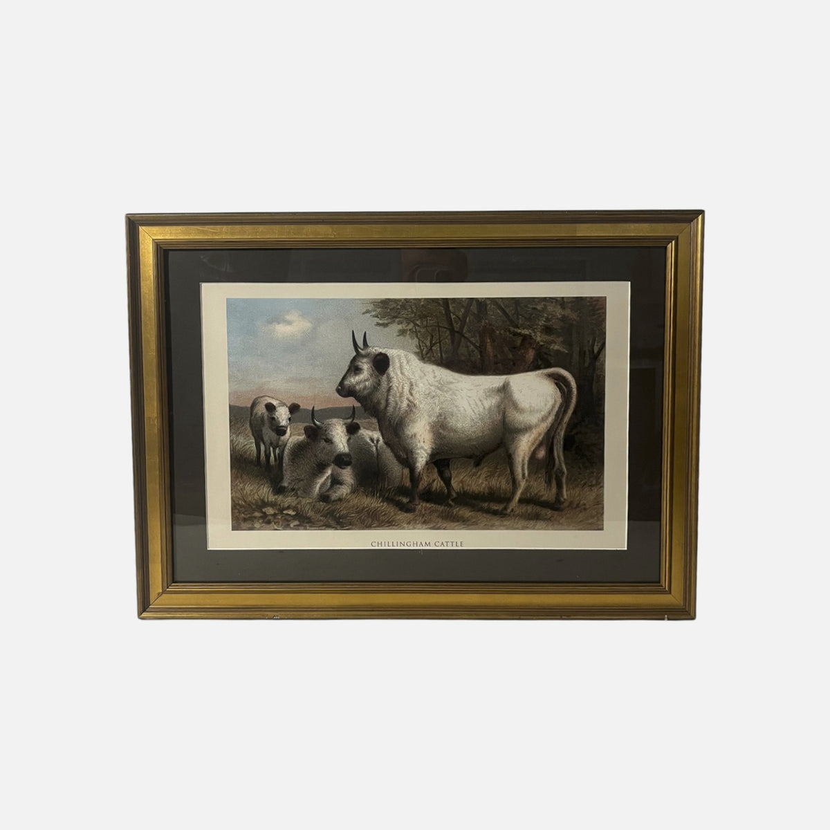 FH1156 gray composite