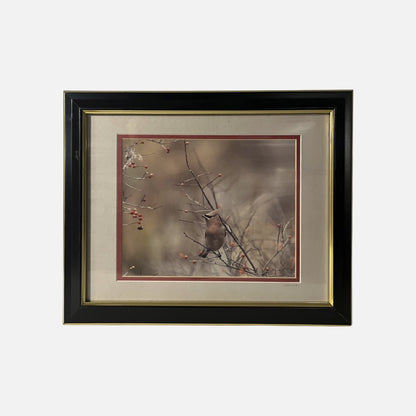 FH1067 gray composite